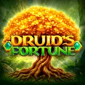 Druids Fortune